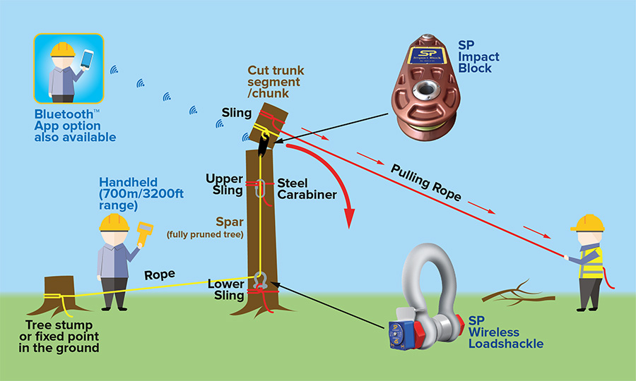 High Line Anchoring