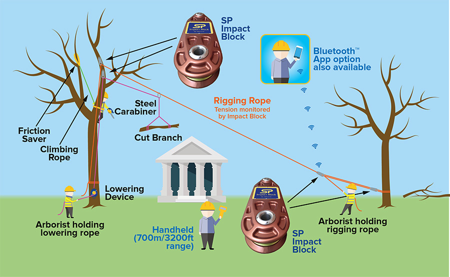 Targeted Speedline