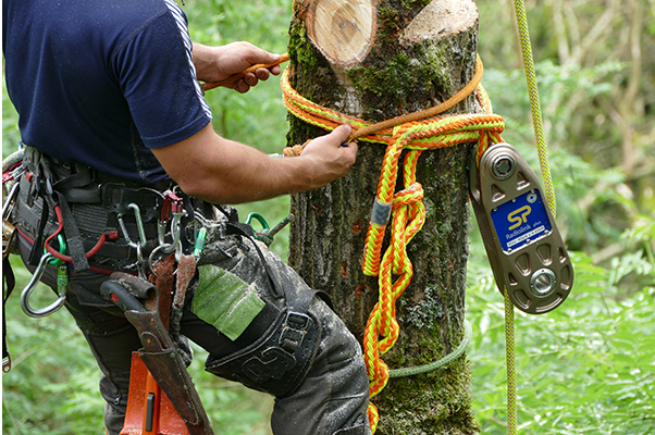 arborist with straightpoint impact block