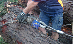 tree felling with loadshackle